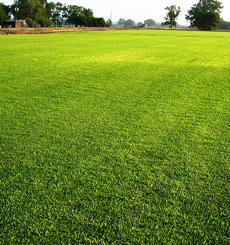 Commercial Plots in Patna